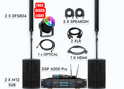 M12 DFS 804 (Pair) + SingsoundTek DSP-4200 Digital Mixer