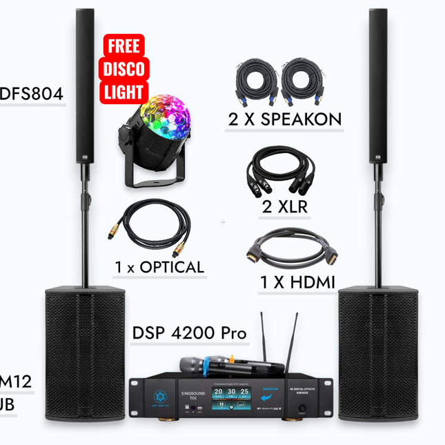 M12 DFS 804 (Pair) + SingsoundTek DSP-4200 Digital Mixer