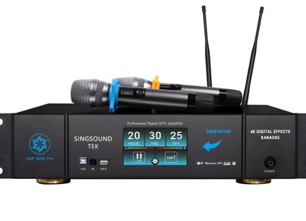Singsound Tek DSP 4200 + Deken Flex T12 + 4 channel Power Amplifier Bluetooth Youtube