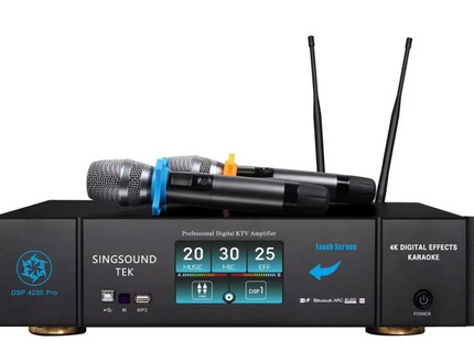 M12 DFS 804 (Pair) + SingsoundTek DSP-4200 Digital Mixer
