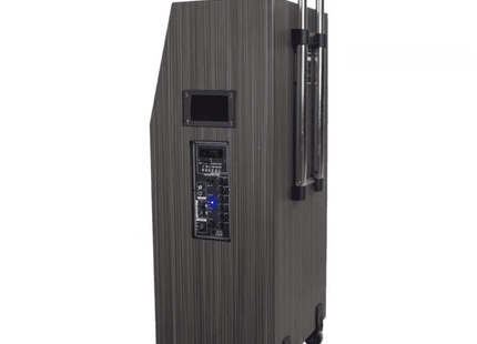 BT-888Pro Powered Bluetooth Speaker