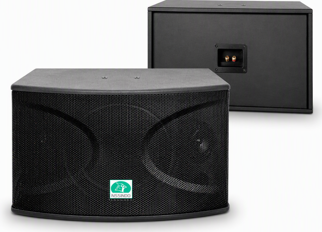 Loa karaoke chuyên nghiệp CS-10 công suất 720 Watt (Cặp)